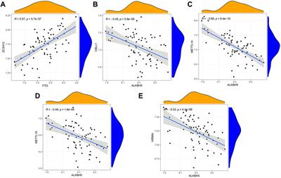 Effect of M6A regulators on diagnosis, subtype classification, prognosis and novel therapeutic target development of idiopathic pulmonary fibrosis